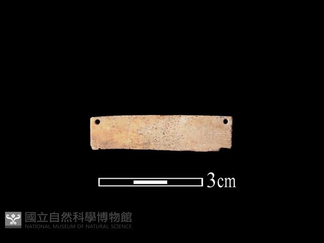 骨飾藏品圖，第2張