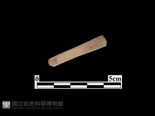 骨器藏品圖，第2張