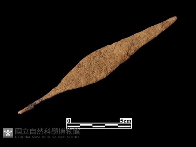 鎗頭藏品圖，第2張