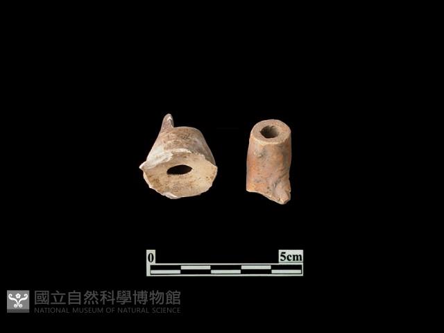 Accession Number:PTT-PP66 Collection Image, Figure 2, Total 2 Figures