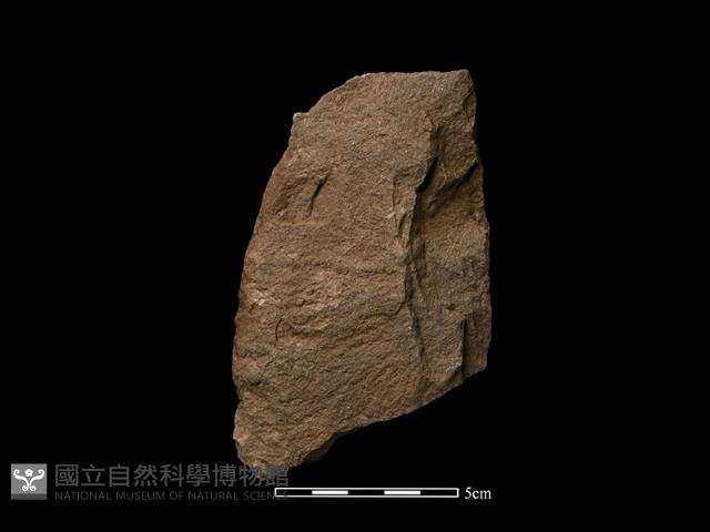 斧鋤形器藏品圖，第2張