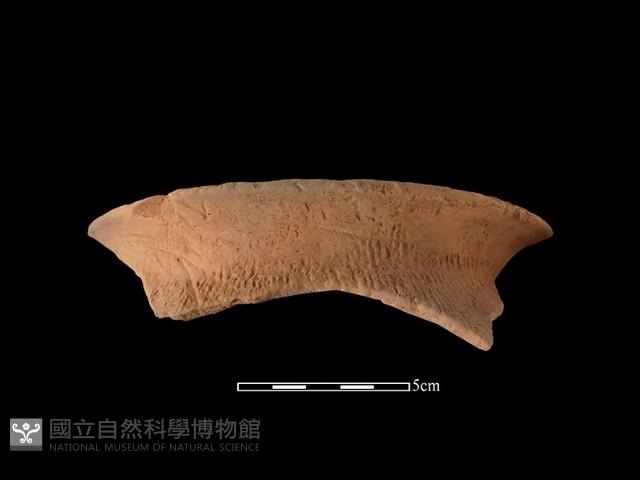 陶罐藏品圖，第1張