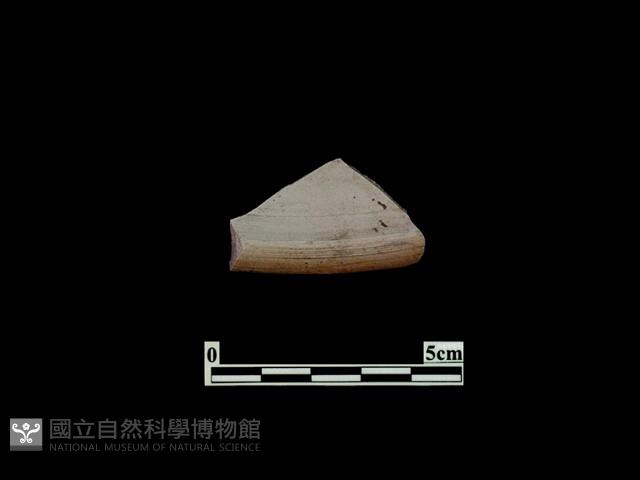 陶蓋藏品圖，第2張