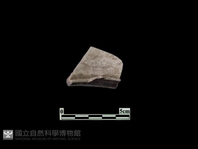 陶片藏品圖，第2張