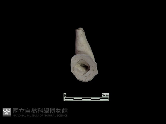 陶片藏品圖，第2張