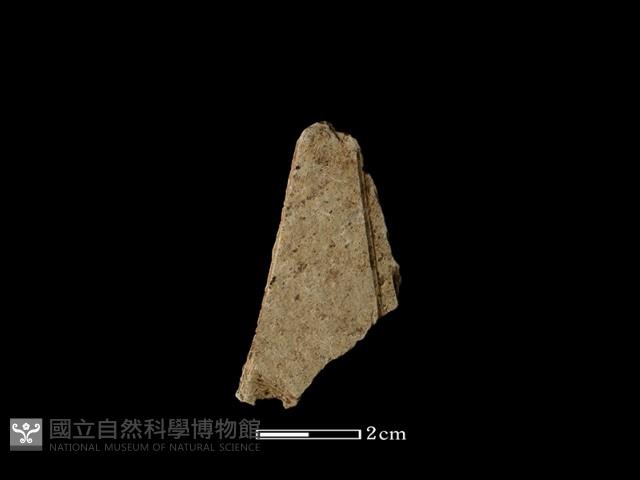 磨製石器藏品圖，第1張