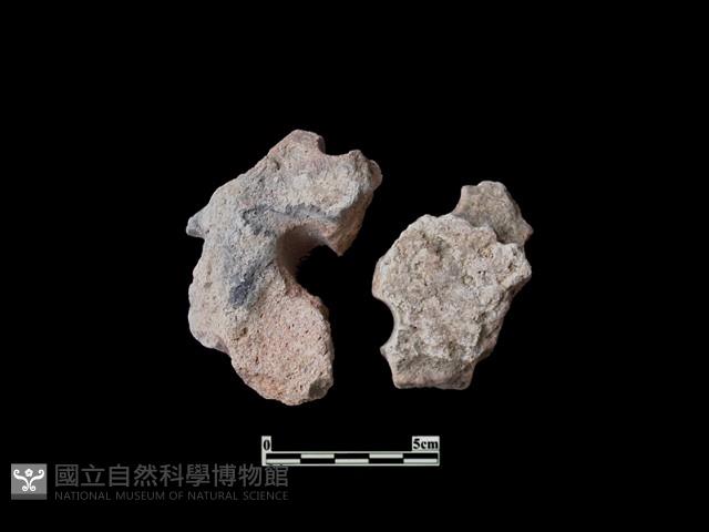 火爐藏品圖，第2張