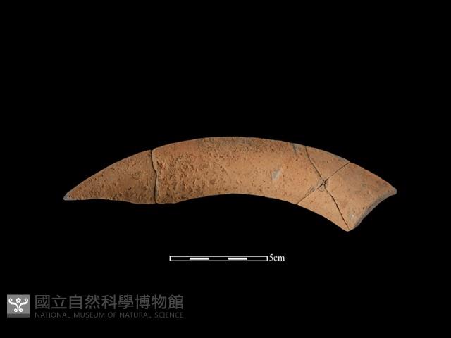 陶罐藏品圖，第1張