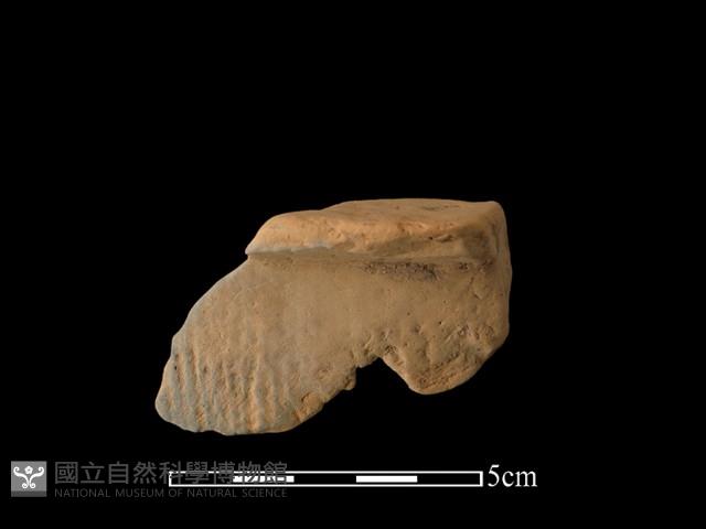 連杯形器藏品圖，第1張