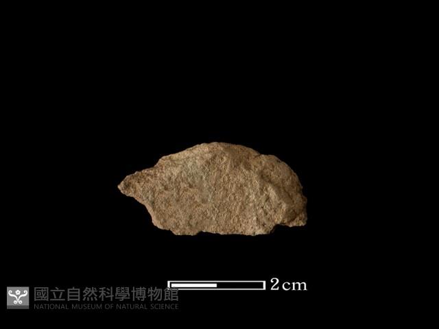 石片器藏品圖，第1張