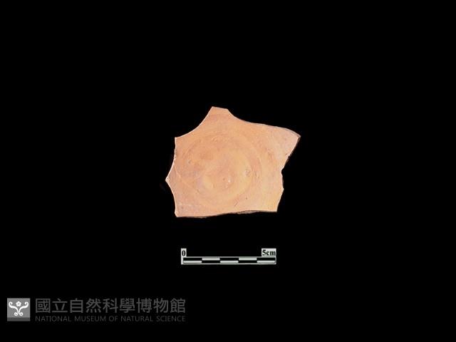 陶片藏品圖，第1張