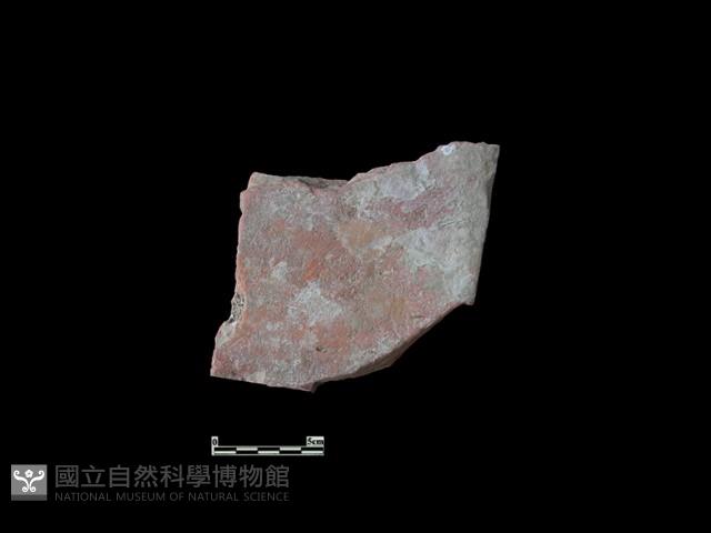 磚藏品圖，第1張