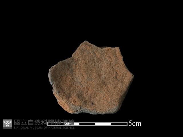 連杯形器藏品圖，第2張