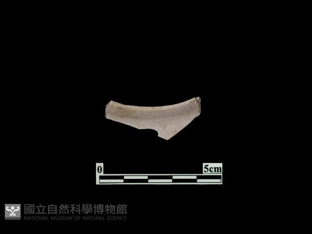 陶片藏品圖，第1張