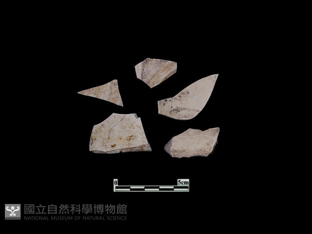 陶片藏品圖，第1張