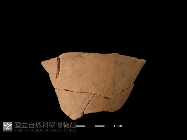 陶片藏品圖，第3張