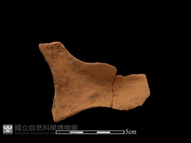 連杯形器藏品圖，第1張