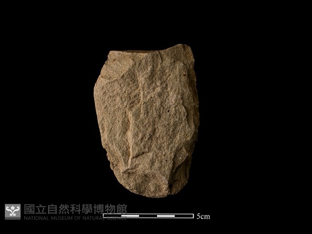 斧鋤形器藏品圖，第2張