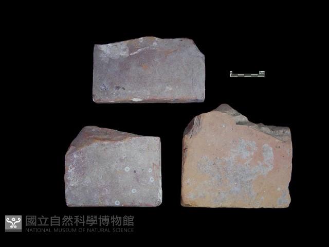 磚藏品圖，第1張