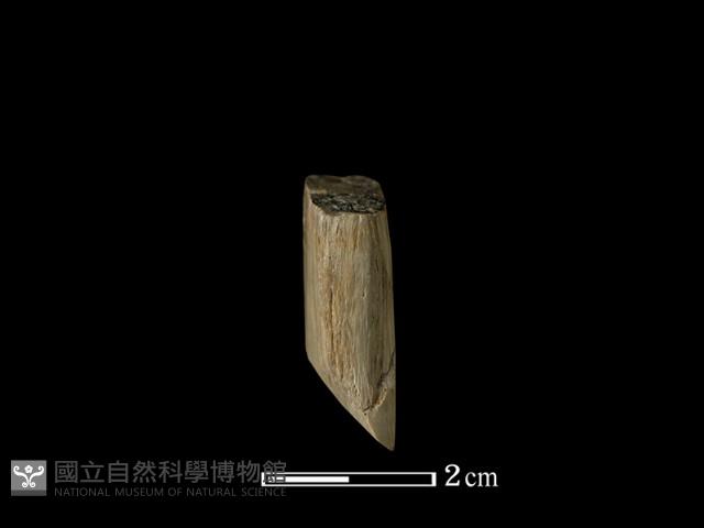 錛鑿形器藏品圖，第3張