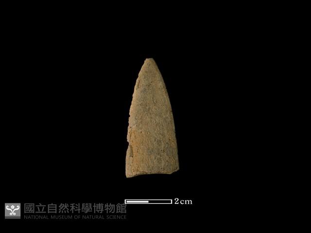 矛鏃形器藏品圖，第2張