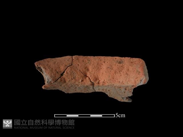 陶罐藏品圖，第2張