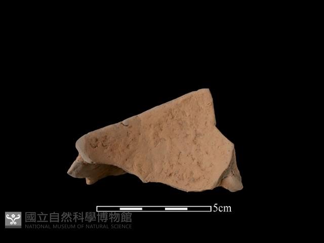 陶片藏品圖，第2張