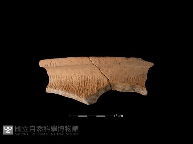 陶罐藏品圖，第2張