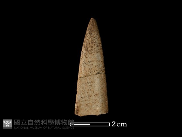矛鏃形器藏品圖，第2張