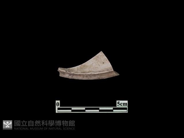 Accession Number:PTT-PP34 Collection Image, Figure 2, Total 2 Figures