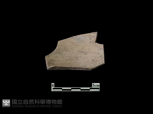 陶片藏品圖，第2張