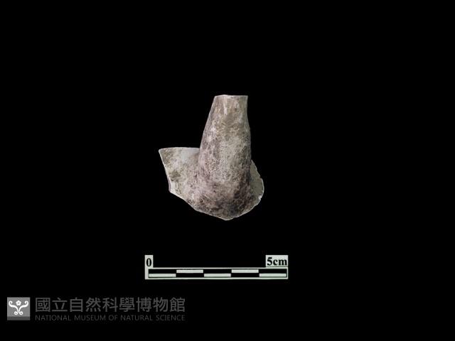 陶片藏品圖，第2張