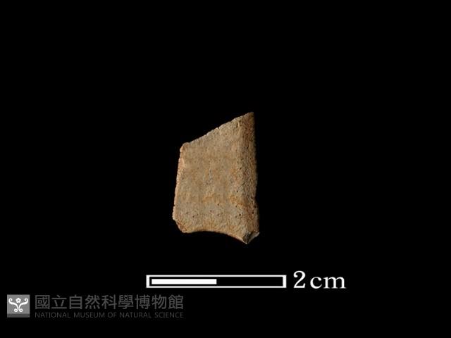 矛鏃形器藏品圖，第1張