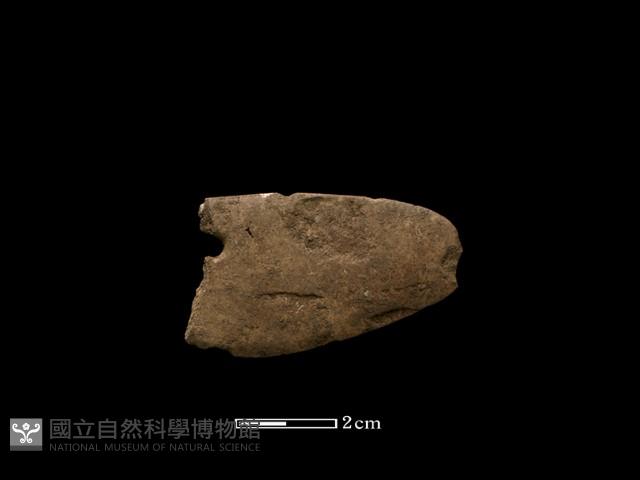 石刀藏品圖，第1張