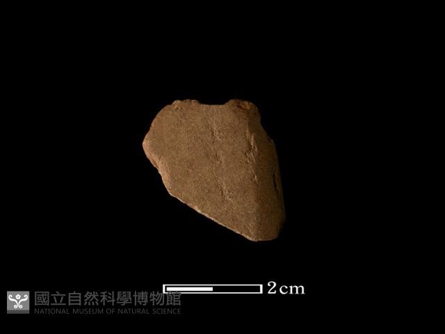 矛鏃形器藏品圖，第1張