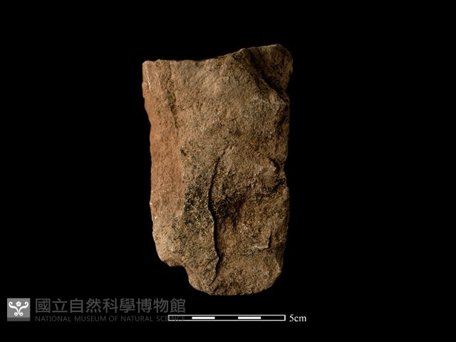 斧鋤形器藏品圖，第1張