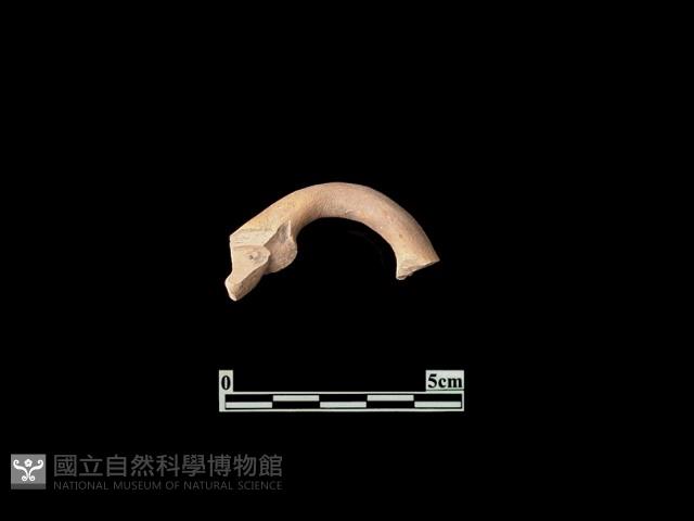 陶片藏品圖，第1張