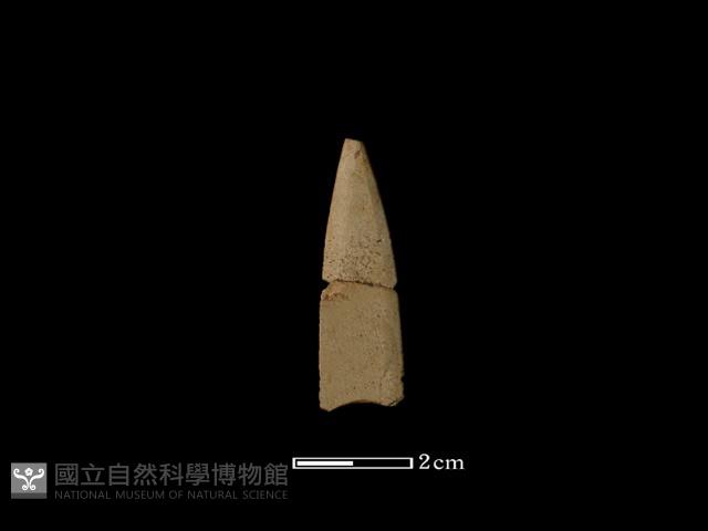 矛鏃形器藏品圖，第1張