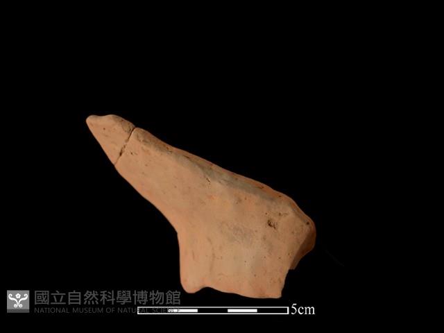 陶片藏品圖，第3張