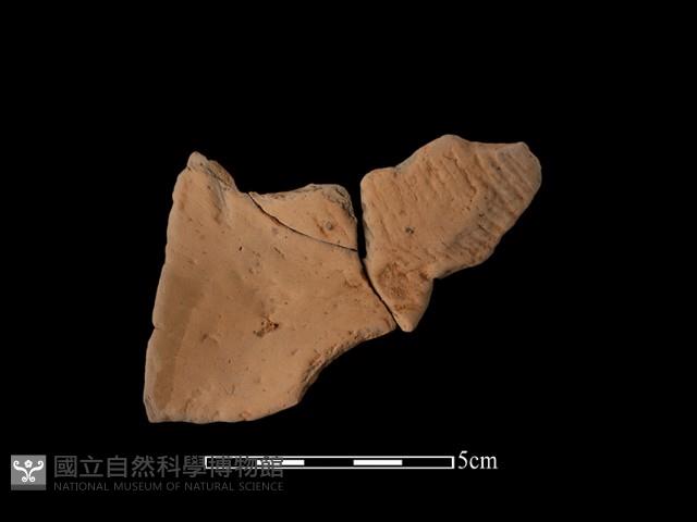 連杯形器藏品圖，第1張