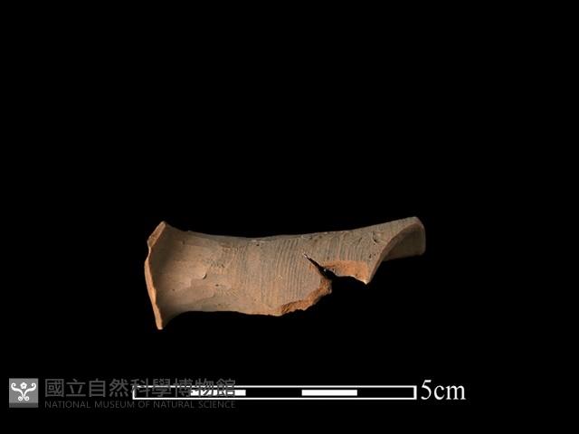 茶壺藏品圖，第1張