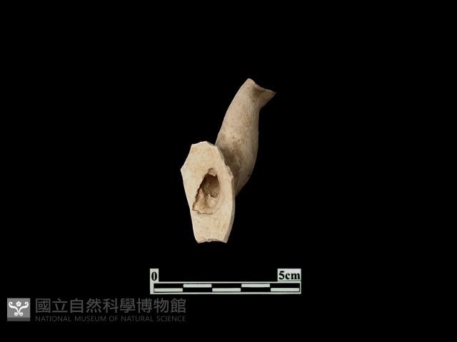 陶片藏品圖，第1張