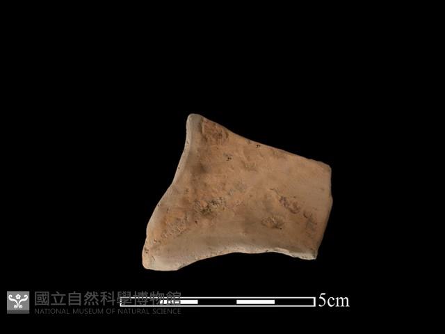 連杯形器藏品圖，第1張