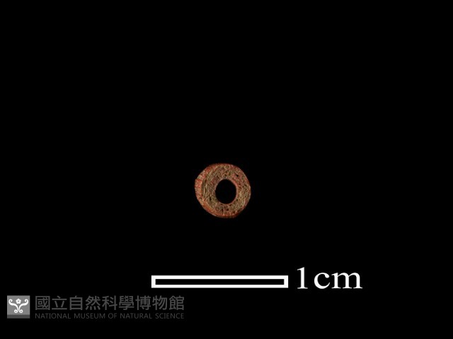 琉璃珠藏品圖，第1張