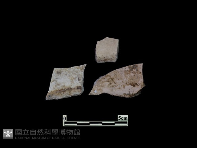 陶片藏品圖，第1張