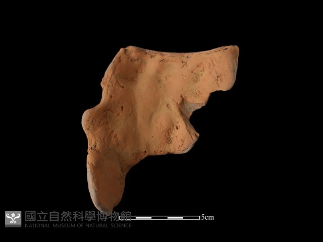 陶片藏品圖，第1張