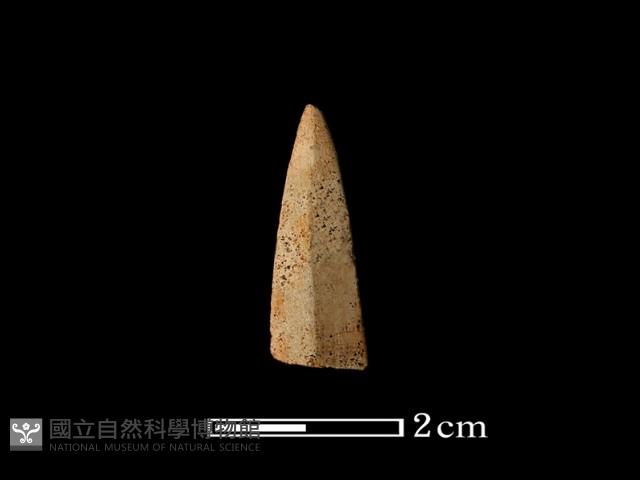 矛鏃形器藏品圖，第1張