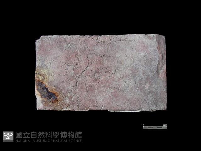 磚藏品圖，第1張