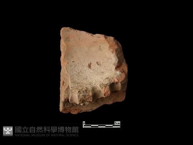 火爐藏品圖，第1張