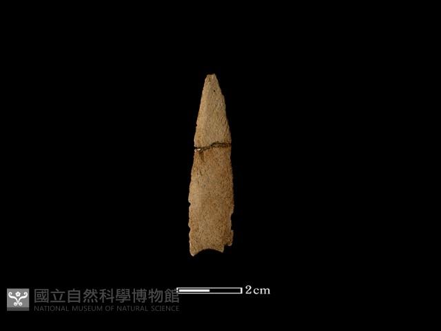 矛鏃形器藏品圖，第2張